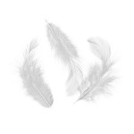 Plumes colorées 10 g - Blanc