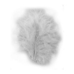 Plume décorative 8cm sachet de 10 - Gris