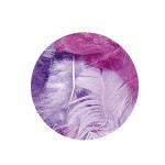 Plume décorative 3-10cm sachet de 10 assorties - Lilas