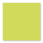 Carte faire part Pollen 210g 160 x 160mm par 25 - Vert Bourgeon