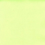 Papier Bazzill Toile 30,5 x 30,5 cm - 216 g/m² - Vert Aloe Vera