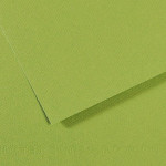 Papier Mi-Teintes 160 g/m² - 50 x 65cm - 475 - Vert Pomme