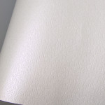 Papier Ostra imitation Cuir 68,5 x 50 cm 185 g/m² - Blanc
